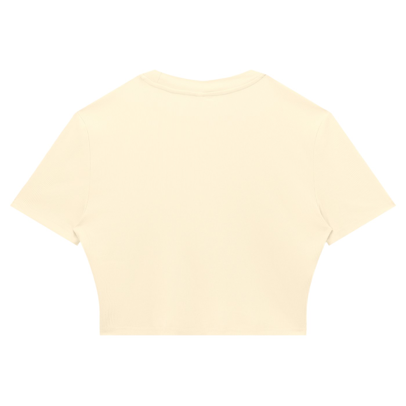 Women's Slim Ribbed Crop T-Shirt